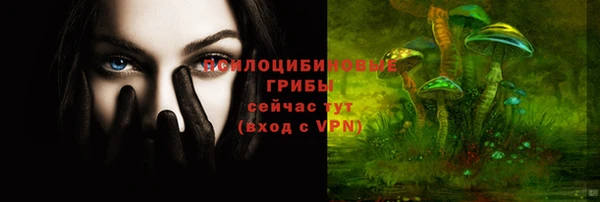 стафф Каменск-Шахтинский