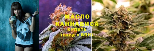 стаф Инта