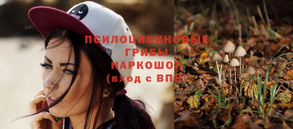 стафф Каменск-Шахтинский
