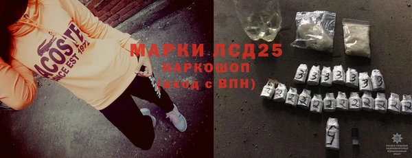 стаф Инта