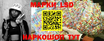 шишки Донской