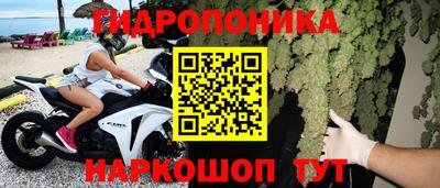 шишки Донской