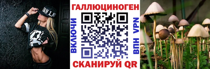 Псилоцибиновые грибы мицелий Котельники