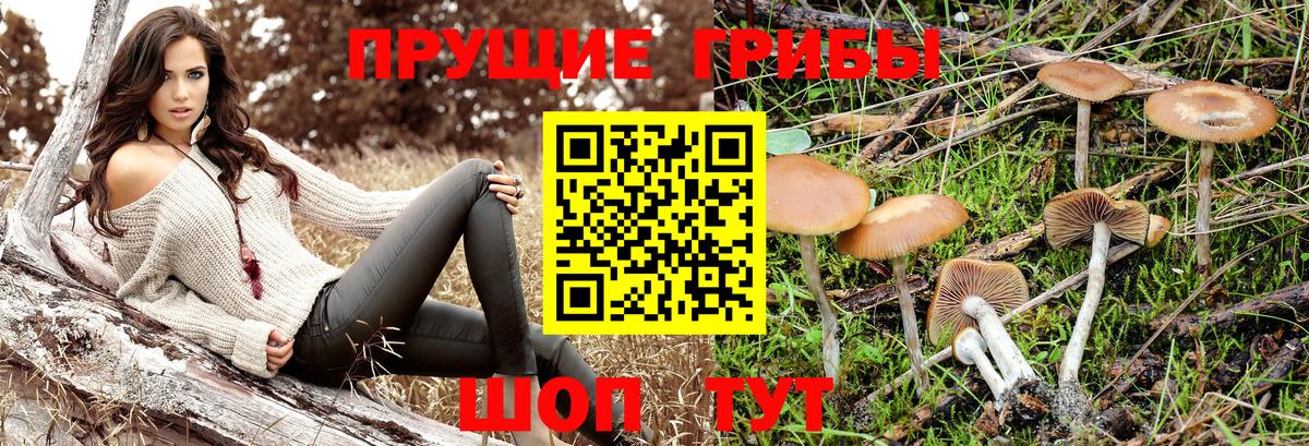 Галлюциногенные грибы ЛСД Котельники